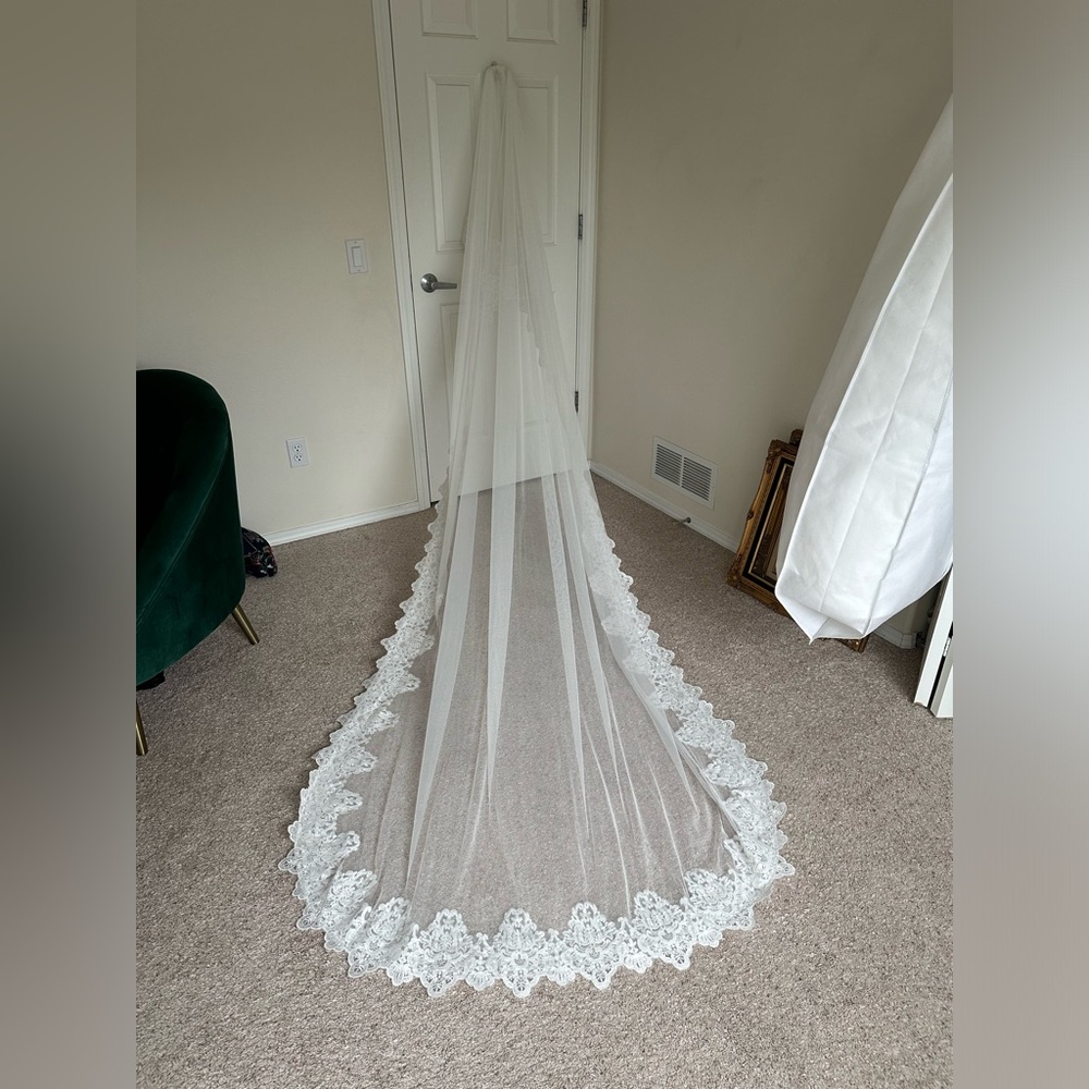 NWT lace veil